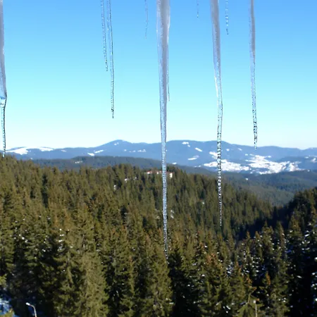 Grand Monastery Apartment Pamporovo