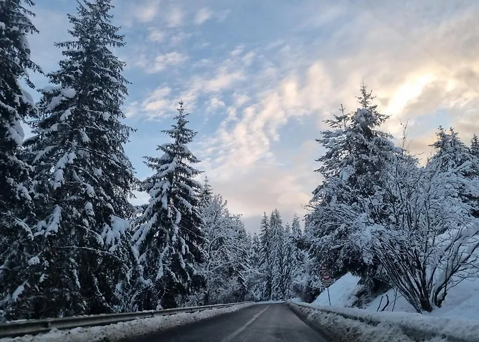 Apartment Grand Monastery