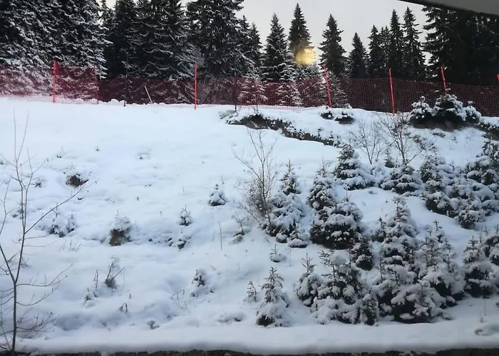 Apartment Grand Monastery