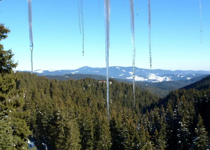 Grand Monastery Apartment Pamporovo